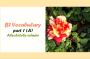 CEFR (B1) Vocabulary- part 1 (A)- English Proficiency- واژگان آنگلیسی سطح B1 براساس استاندارد CEFR