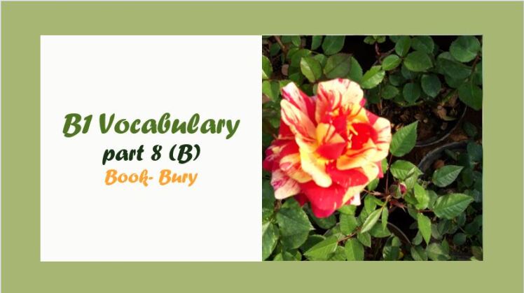 B1 Vocabulary: Book- Bury (part 8): واژگان سطح B1 برای حرف B با استاندارد CEFR
