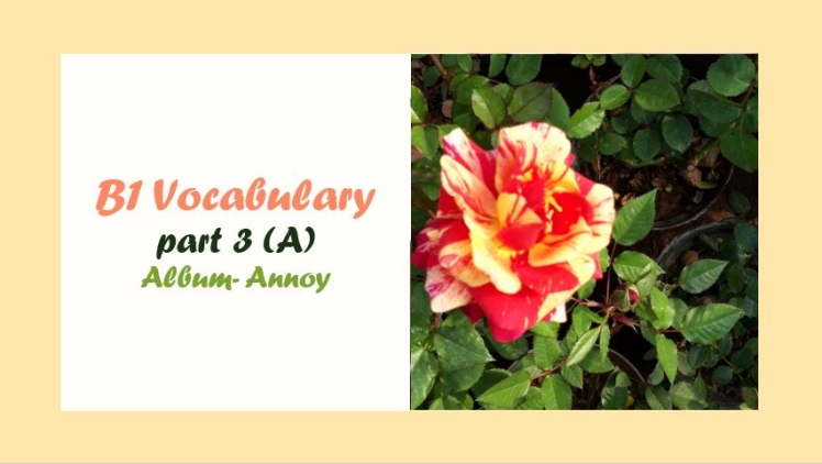 CEFR (B1) Vocabulary- part 3(A)- English Proficiency- واژگان آنگلیسی سطح B1 براساس استاندارد CEFR