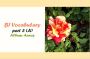 CEFR (B1) Vocabulary- part 3(A)- English Proficiency- واژگان آنگلیسی سطح B1 براساس استاندارد CEFR