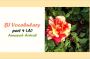 CEFR (B1) Vocabulary- part 4 (A)- English Proficiency- واژگان آنگلیسی سطح B1 براساس استاندارد CEFR