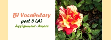 CEFR (B1) Vocabulary- part 5(A)- English Proficiency- واژگان آنگلیسی سطح B1 براساس استاندارد CEFR