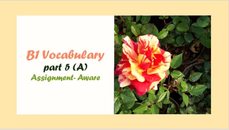 CEFR (B1) Vocabulary- part 5(A)- English Proficiency- واژگان آنگلیسی سطح B1 براساس استاندارد CEFR