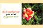 CEFR (B1) Vocabulary- part 5(A)- English Proficiency- واژگان آنگلیسی سطح B1 براساس استاندارد CEFR