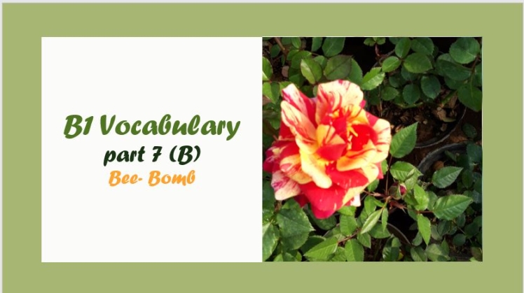 B1 Vocabulary: Bee- Bomb- واژگان سطح B1 برای حرف B (قسمت 7)