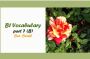 B1 Vocabulary: Bee- Bomb- واژگان سطح B1 برای حرف B (قسمت 7)