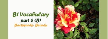 B1 Vocabulary: Backwards– Bury- واژگان سطح B1 با حرف B ( قسمت 6)