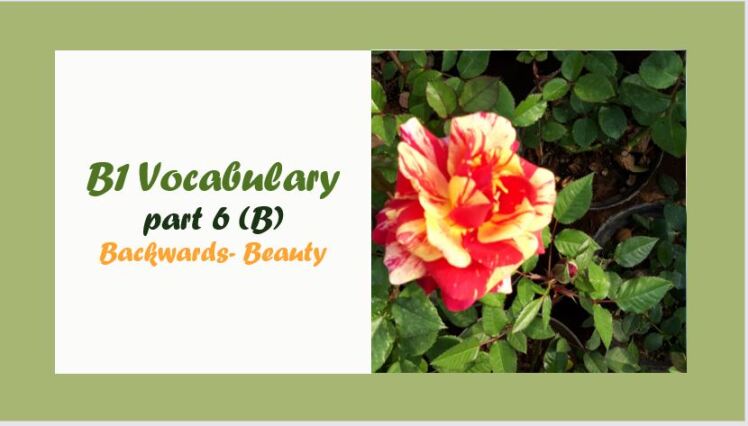 B1 Vocabulary: Backwards– Bury- واژگان سطح B1 با حرف B ( قسمت 6)