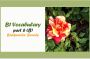 B1 Vocabulary: Backwards– Bury- واژگان سطح B1 با حرف B ( قسمت 6)