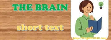 Our brain and our thoughts - مغز و افکار ما
