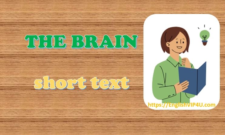 Our brain and our thoughts - مغز و افکار ما
