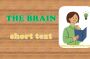 Our brain and our thoughts - مغز و افکار ما